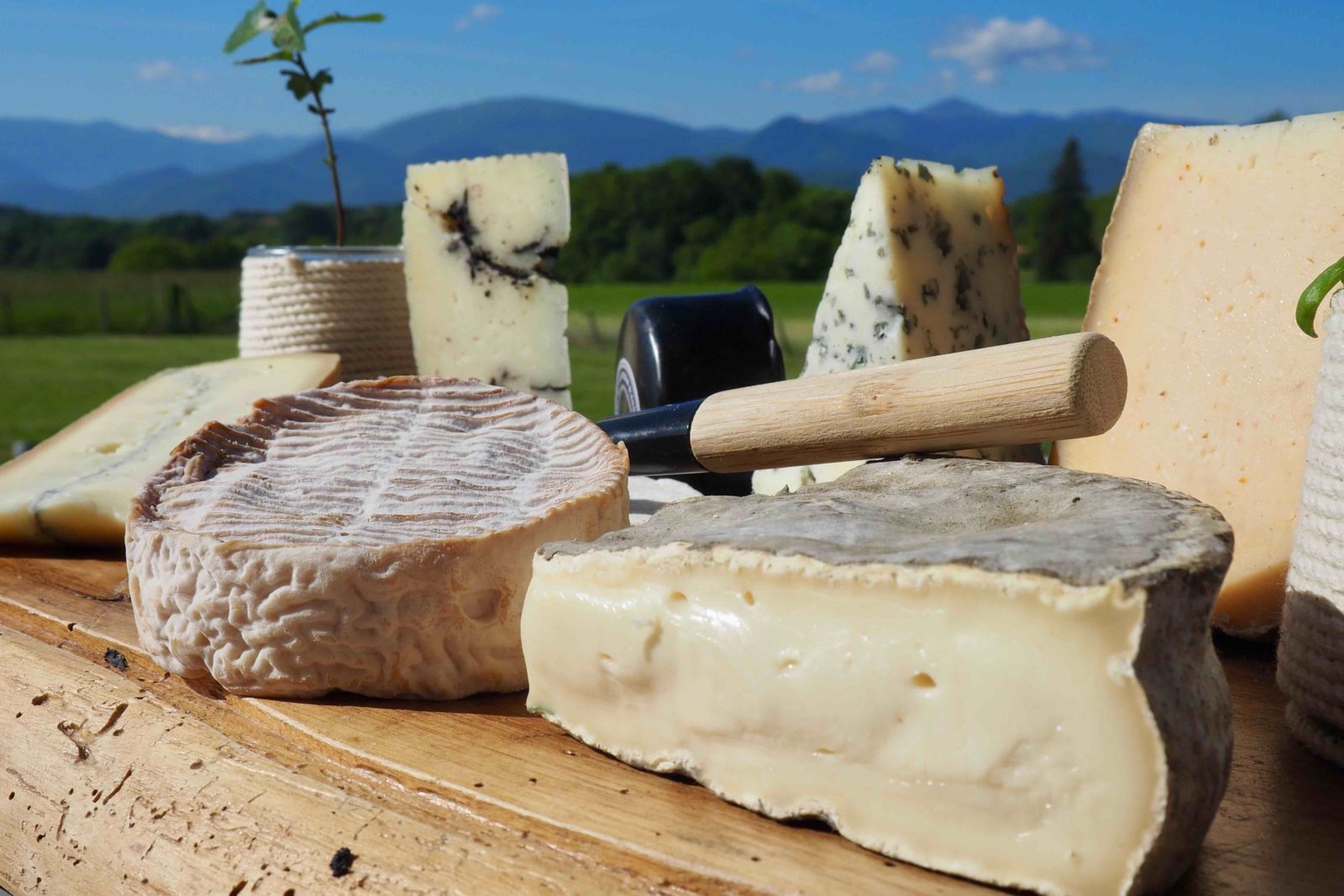 Blog Fromagers du Mont Royal Dominique Bouchait — free download